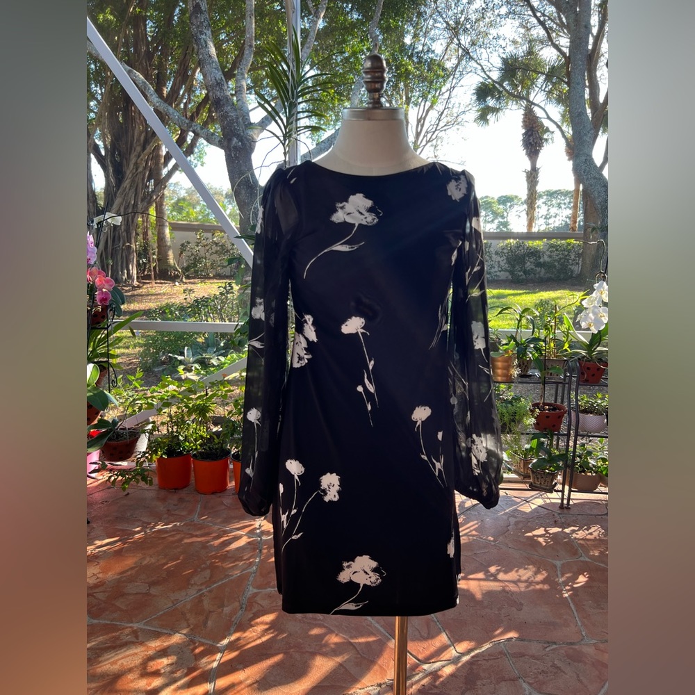 White House Black Market Size X-Small Chiffon-Sleeve Knit Shift Dress Tahari